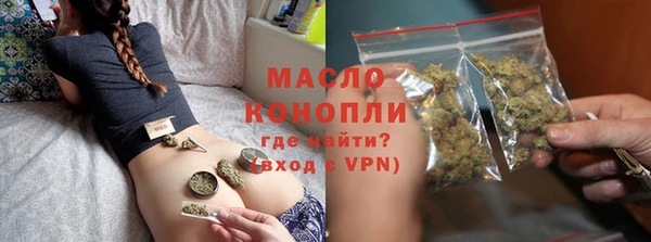 мет Алексин