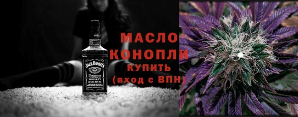 мет Алексин